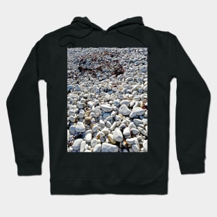 Chalk, Pebble, Glowing Seaweed Beach Hoodie